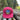 Kids Swappable Hat - Galaxy Red